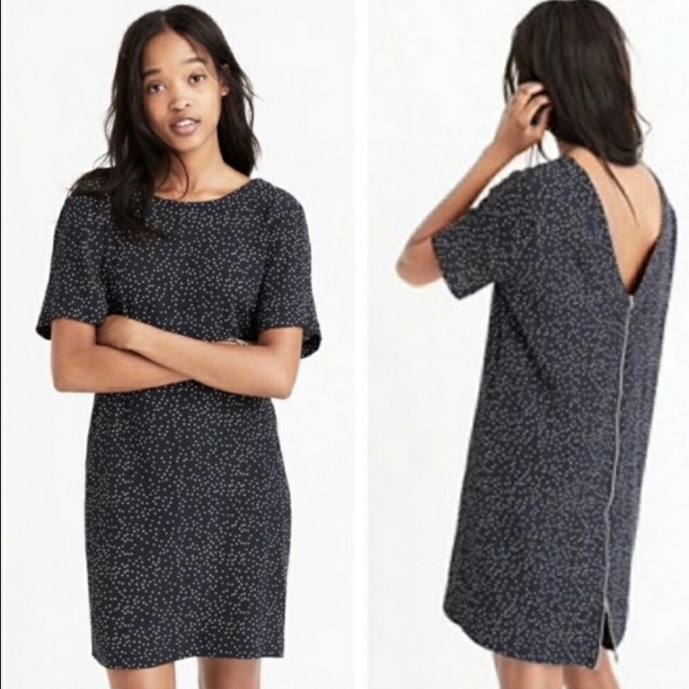 Madewell Zip-back Dress in Scatterdot